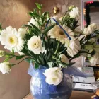 Business 7 image FLOWERS BY PHYLLIS Online Shopping in San Pawl Il-Bahar ND